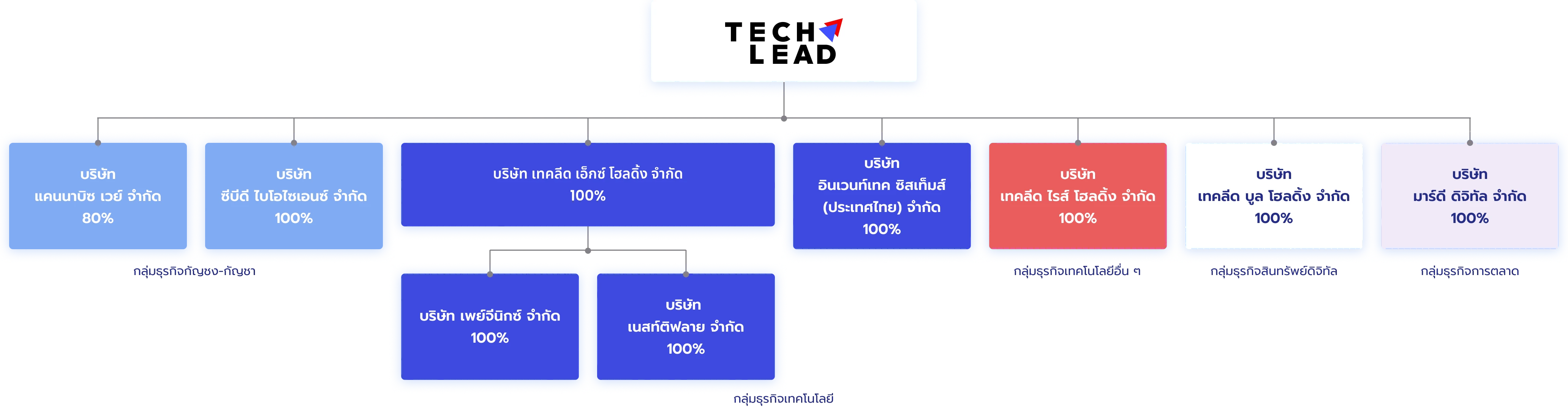 Info Shareholding Structure of the Group